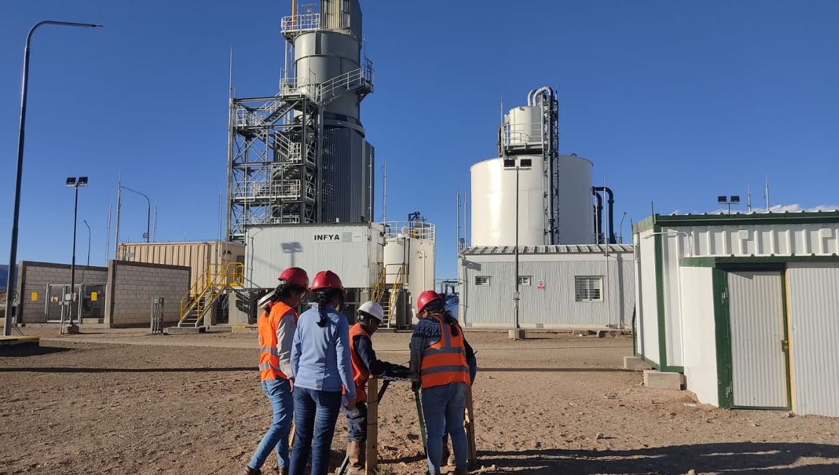 Sales De Jujuy Finaliz El Primer Monitoreo Ambiental Del A O C Mara